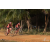Team 19 / Raid Amazones Sri Lanka 2019 - J3 VTT