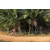 Team 123 / Raid Amazones Sri Lanka 2019 - J3 VTT