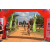 Team 18 / Raid Amazones Sri Lanka 2019 - J3 VTT