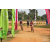 Team 114 / Raid Amazones Sri Lanka 2019 - J3 VTT