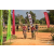 Team 28 / Raid Amazones Sri Lanka 2019 - J3 VTT