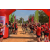 Team 101 / Raid Amazones Sri Lanka 2019 - J3 VTT