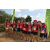 Team 120 / Raid Amazones Sri Lanka 2019 - J3 VTT