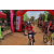 Team 05 / Raid Amazones Sri Lanka 2019 - J3 VTT