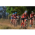 Team 08 / Raid Amazones Sri Lanka 2019 - J3 VTT