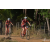 Team 24 / Raid Amazones Sri Lanka 2019 - J3 VTT