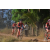 Team 114 / Raid Amazones Sri Lanka 2019 - J3 VTT