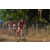 Team 114 / Raid Amazones Sri Lanka 2019 - J3 VTT