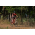Team 18 / Raid Amazones Sri Lanka 2019 - J3 VTT