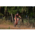 Team 33 / Raid Amazones Sri Lanka 2019 - J3 VTT