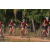 Team 105 / Raid Amazones Sri Lanka 2019 - J3 VTT