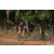 Team 07 / Raid Amazones Sri Lanka 2019 - J3 VTT