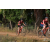 Team 09 / Raid Amazones Sri Lanka 2019 - J3 VTT