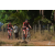 Team 14 / Raid Amazones Sri Lanka 2019 - J3 VTT