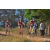 Team 120 / Raid Amazones Sri Lanka 2019 - J3 VTT