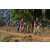 Team 120 / Raid Amazones Sri Lanka 2019 - J3 VTT
