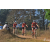 Team 135 / Raid Amazones Sri Lanka 2019 - J3 VTT