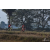 Team 34 / Raid Amazones Sri Lanka 2019 - J3 VTT