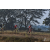 Team 34 / Raid Amazones Sri Lanka 2019 - J3 VTT
