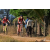 Team 34 / Raid Amazones Sri Lanka 2019 - J3 VTT