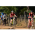Team 34 / Raid Amazones Sri Lanka 2019 - J3 VTT