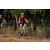 Team 34 / Raid Amazones Sri Lanka 2019 - J3 VTT