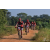 Team 29 / Raid Amazones Sri Lanka 2019 - J3 VTT