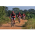 Team 29 / Raid Amazones Sri Lanka 2019 - J3 VTT