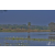Raid Amazones Sri Lanka 2019 - J3 VTT