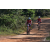 Team 105 / Raid Amazones Sri Lanka 2019 - J3 VTT