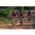 Team 103 / Raid Amazones Sri Lanka 2019 - J3 VTT
