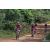 Team 135 / Raid Amazones Sri Lanka 2019 - J3 VTT