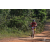 Team 101 / Raid Amazones Sri Lanka 2019 - J3 VTT