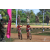 Team 24 / Raid Amazones Sri Lanka 2019 - J3 VTT