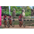 Team 24 / Raid Amazones Sri Lanka 2019 - J3 VTT