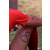 Team 38 / Raid Amazones Sri Lanka 2019 - J3 VTT