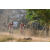 Team 04 / Raid Amazones Sri Lanka 2019 - J3 VTT