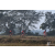 Team 30 / Raid Amazones Sri Lanka 2019 - J3 VTT