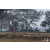 Team 30 / Raid Amazones Sri Lanka 2019 - J3 VTT