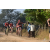 Team 29 / Raid Amazones Sri Lanka 2019 - J3 VTT