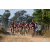 Team 28 / Raid Amazones Sri Lanka 2019 - J3 VTT