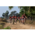 Team 29 / Raid Amazones Sri Lanka 2019 - J3 VTT