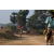 Team 123 / Raid Amazones Sri Lanka 2019 - J3 VTT