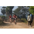 Team 123 / Raid Amazones Sri Lanka 2019 - J3 VTT