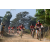 Team 103 / Raid Amazones Sri Lanka 2019 - J3 VTT
