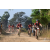 Team 102 / Raid Amazones Sri Lanka 2019 - J3 VTT