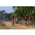 Team 16 / Raid Amazones Sri Lanka 2019 - J3 VTT