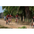 Team 102 / Raid Amazones Sri Lanka 2019 - J3 VTT