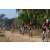 Team 122 / Raid Amazones Sri Lanka 2019 - J3 VTT