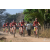 Team 111 / Raid Amazones Sri Lanka 2019 - J3 VTT